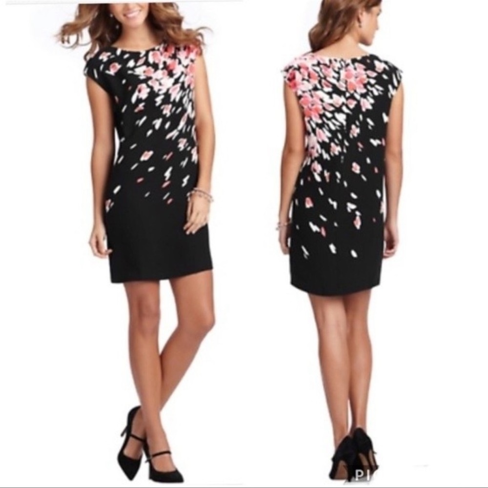 Ann Taylor Loft Floral Petal Black Pink Dress XSP